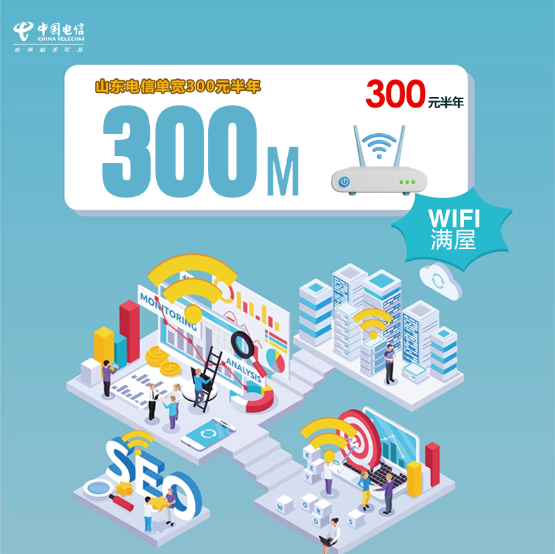 山东电信单宽300M300元半年 流量卡-随身WiFi-宽带官方办理渠道
