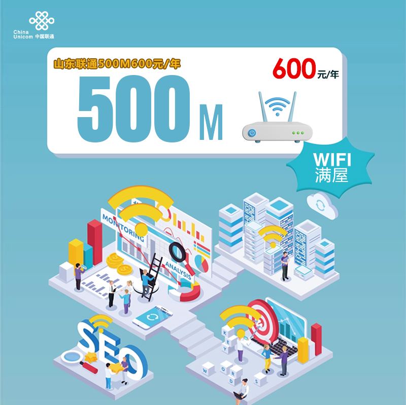 山东联通500M600元/年 流量卡-随身WiFi-宽带官方办理渠道