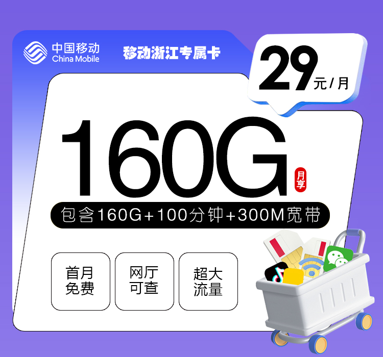 移动浙江专属卡【29元160G+100分钟+300M宽带】 流量卡-随身WiFi-宽带官方办理渠道