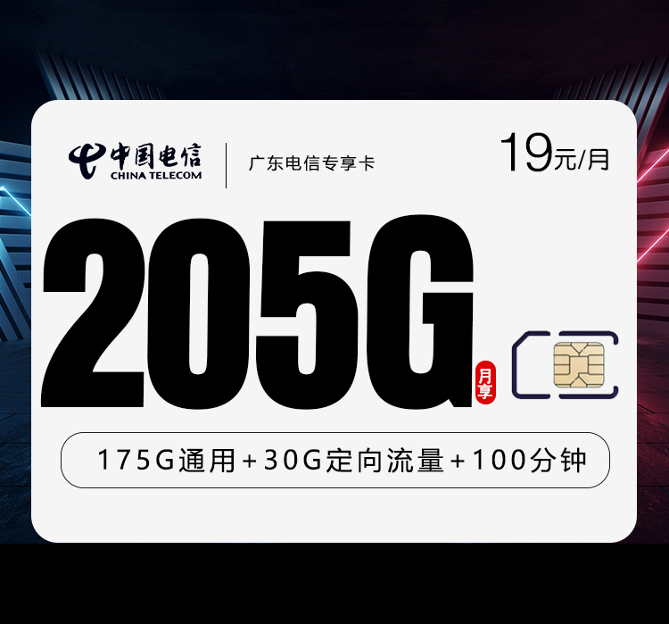 广东电信专享卡新 【首年19元205G+100分钟】官方办理入口