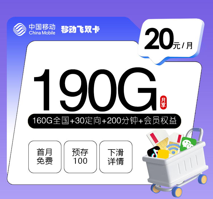 移动飞双卡【20元190G+200分钟+会员】官方办理入口