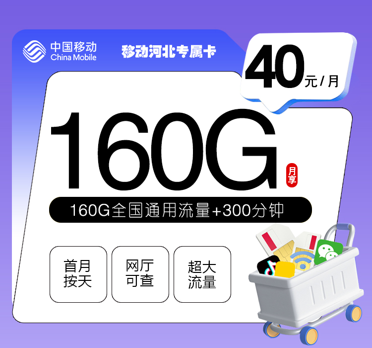 移动河北专属卡3.0【40元160G+300分钟】官方办理入口