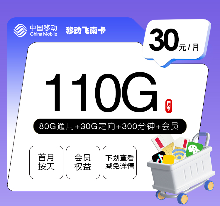 移动飞南卡【30元110G+300分钟+会员】官方办理入口