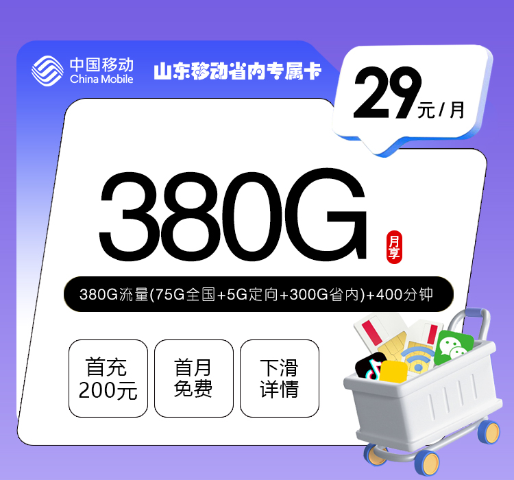 山东移动省内专属卡【29元380G流量+400分钟】官方办理入口