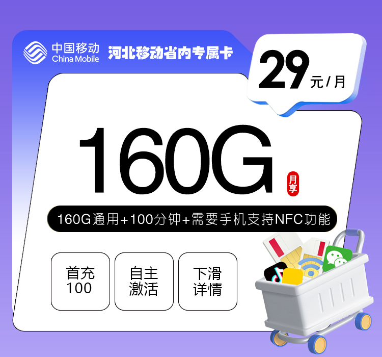 河北移动省内专属卡【29元160G+100分钟】官方办理入口